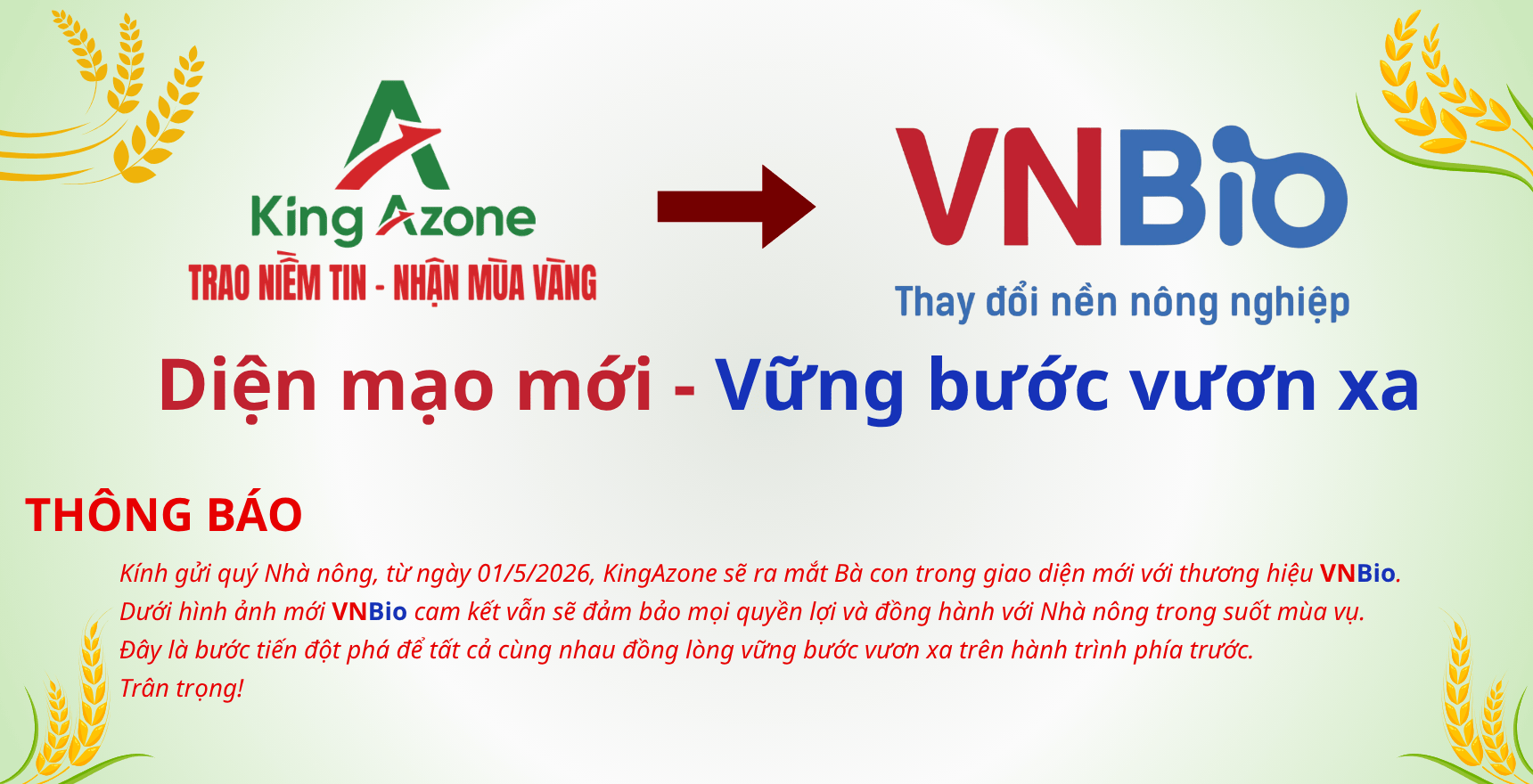 combo azrice và tora