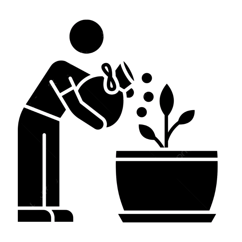 Combo dưỡng cây, trái, rễ