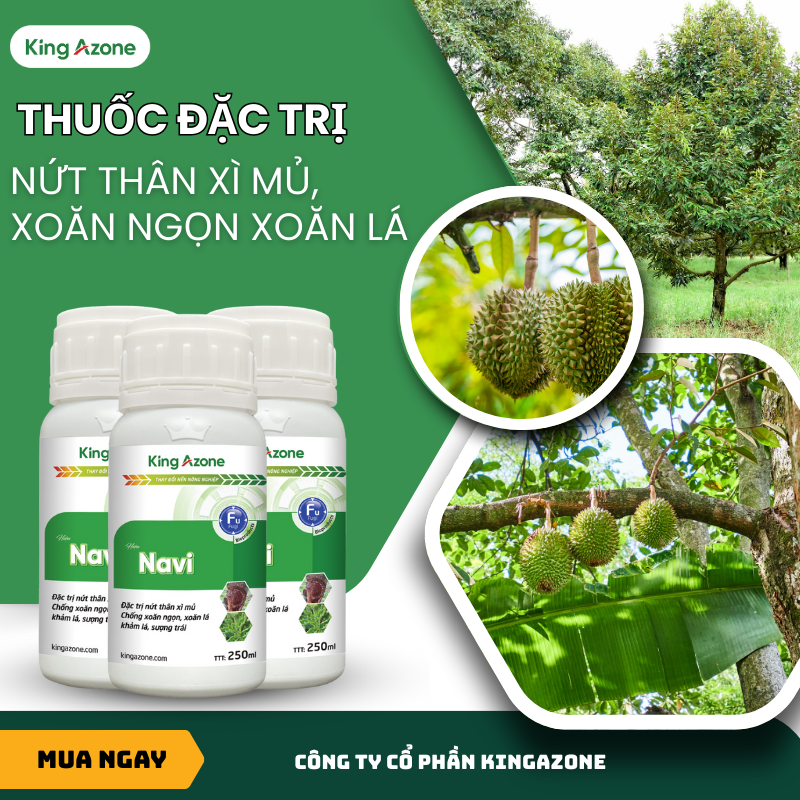 Navi – Giải Pháp Sinh Học Số 1 Đặc Trị Xoăn Ngọn, Khảm Lá Và Nứt Thân Xì Mủ