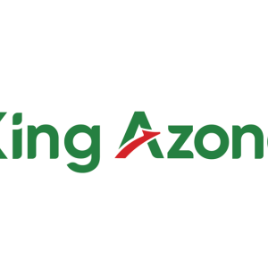 Tại sao nên chọn KingAzone